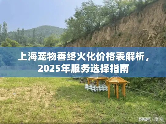 上海宠物善终火化价格表解析，2025年服务选择指南