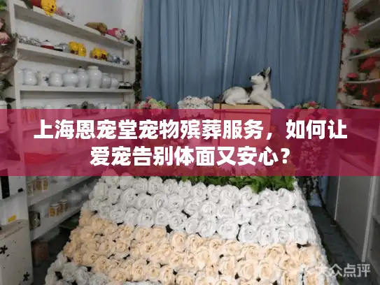 上海恩宠堂宠物殡葬服务，如何让爱宠告别体面又安心？