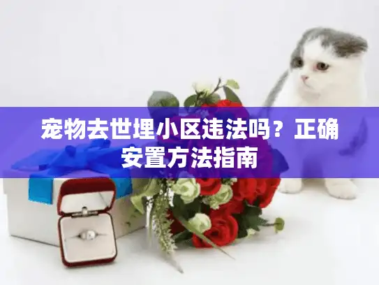 宠物去世埋小区违法吗？正确安置方法指南