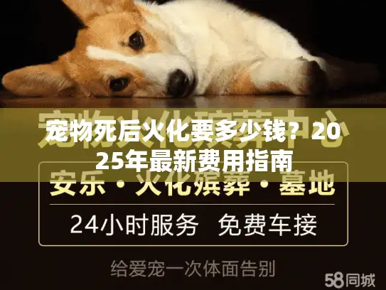 宠物死后火化要多少钱？2025年最新费用指南