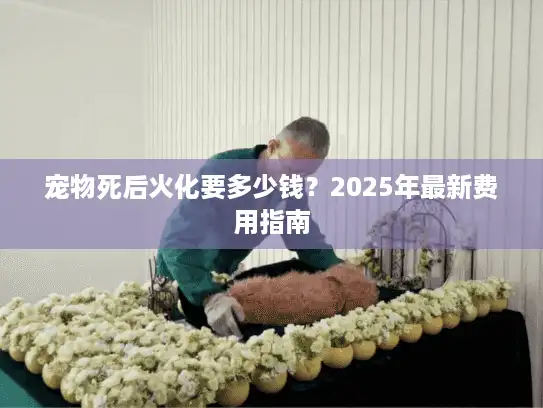 宠物死后火化要多少钱？2025年最新费用指南