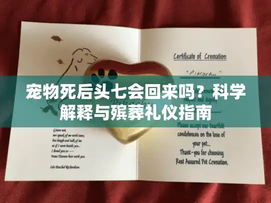 宠物死后头七会回来吗？科学解释与殡葬礼仪指南