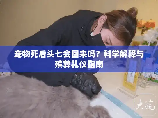 宠物死后头七会回来吗？科学解释与殡葬礼仪指南