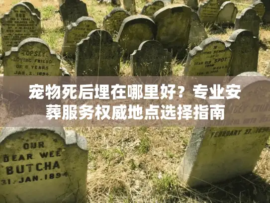 宠物死后埋在哪里好？专业安葬服务权威地点选择指南