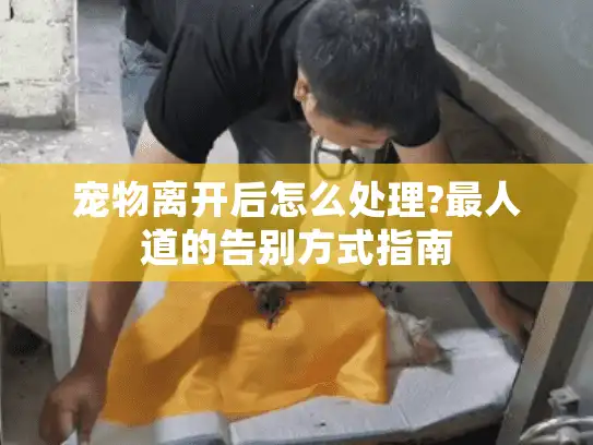 宠物离开后怎么处理?最人道的告别方式指南
