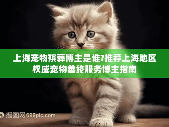 上海宠物殡葬博主是谁?推荐上海地区权威宠物善终服务博主指南