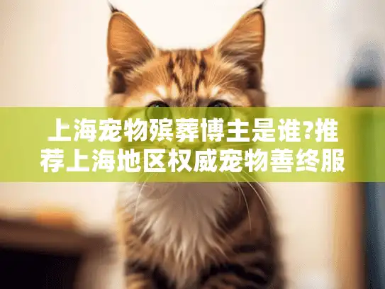 上海宠物殡葬博主是谁?推荐上海地区权威宠物善终服务博主指南