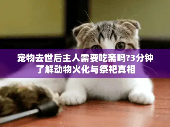 宠物去世后主人需要吃斋吗?3分钟了解动物火化与祭祀真相