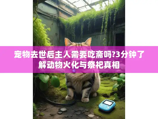 宠物去世后主人需要吃斋吗?3分钟了解动物火化与祭祀真相