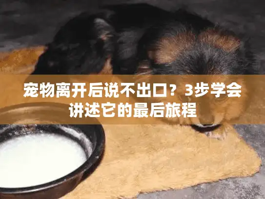 宠物离开后说不出口？3步学会讲述它的最后旅程