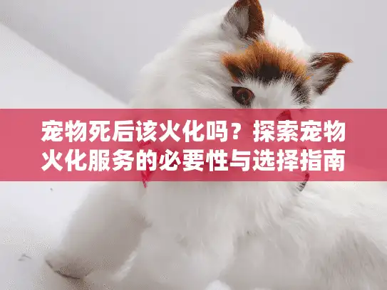 宠物死后该火化吗？探索宠物火化服务的必要性与选择指南