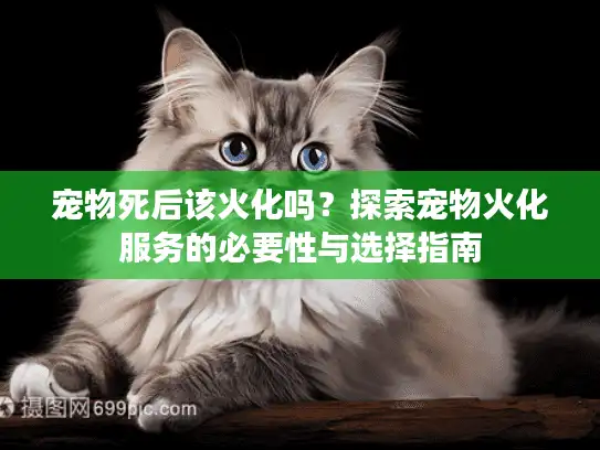 宠物死后该火化吗？探索宠物火化服务的必要性与选择指南