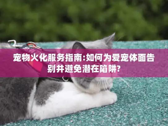 宠物火化服务指南:如何为爱宠体面告别并避免潜在陷阱?