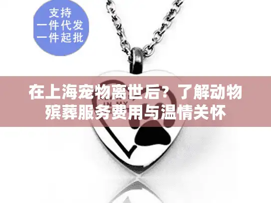 在上海宠物离世后？了解动物殡葬服务费用与温情关怀