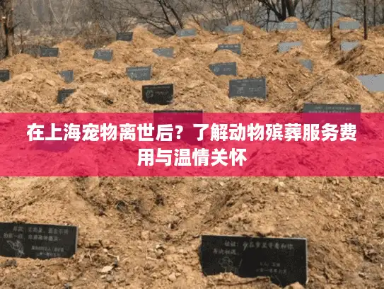 在上海宠物离世后？了解动物殡葬服务费用与温情关怀