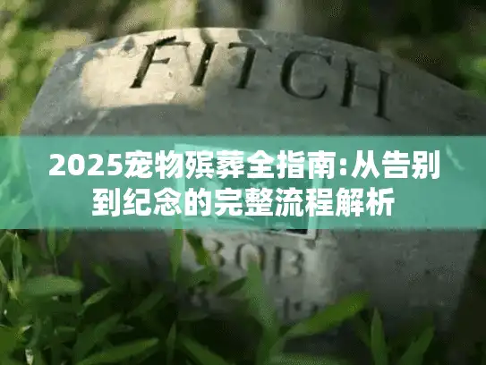2025宠物殡葬全指南:从告别到纪念的完整流程解析