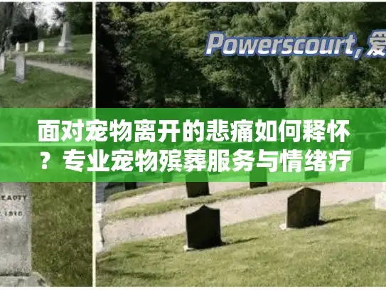面对宠物离开的悲痛如何释怀？专业宠物殡葬服务与情绪疗愈指南
