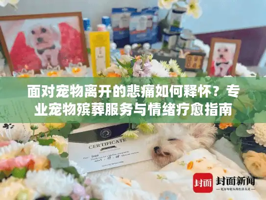 面对宠物离开的悲痛如何释怀？专业宠物殡葬服务与情绪疗愈指南
