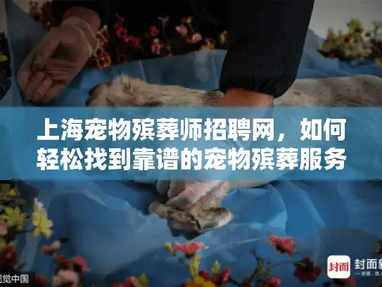 上海宠物殡葬师招聘网，如何轻松找到靠谱的宠物殡葬服务招聘？