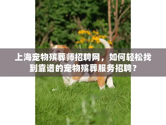 上海宠物殡葬师招聘网，如何轻松找到靠谱的宠物殡葬服务招聘？