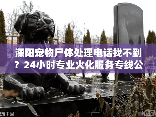 溧阳宠物尸体处理电话找不到？24小时专业火化服务专线公开