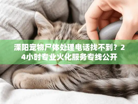 溧阳宠物尸体处理电话找不到？24小时专业火化服务专线公开