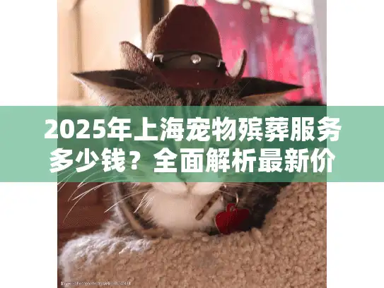2025年上海宠物殡葬服务多少钱？全面解析最新价格与省钱方案