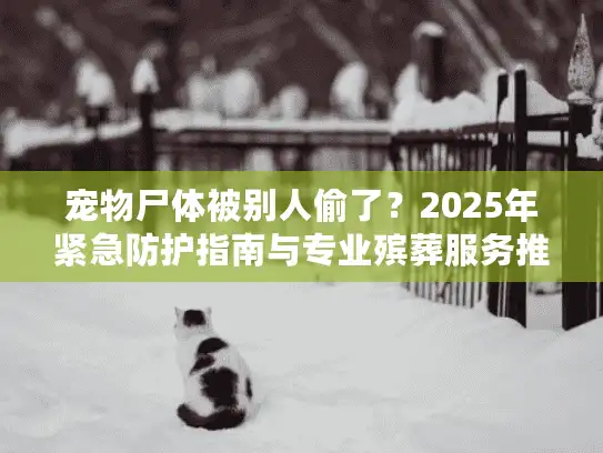 宠物尸体被别人偷了？2025年紧急防护指南与专业殡葬服务推荐