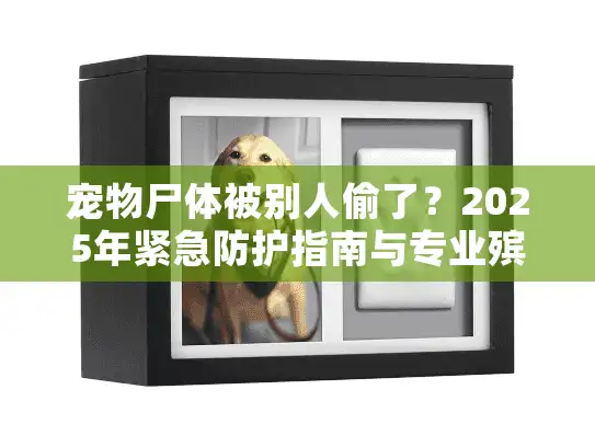 宠物尸体被别人偷了？2025年紧急防护指南与专业殡葬服务推荐