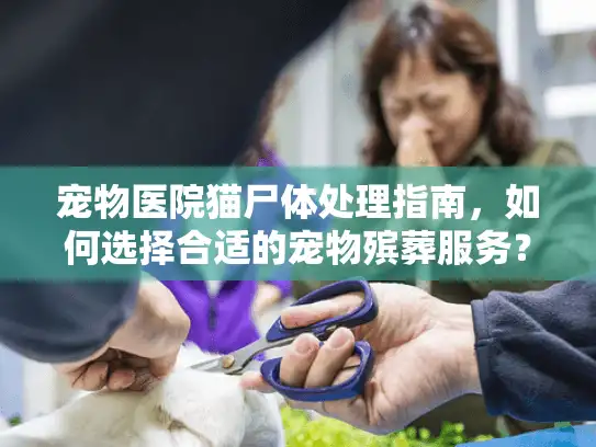 宠物医院猫尸体处理指南，如何选择合适的宠物殡葬服务？