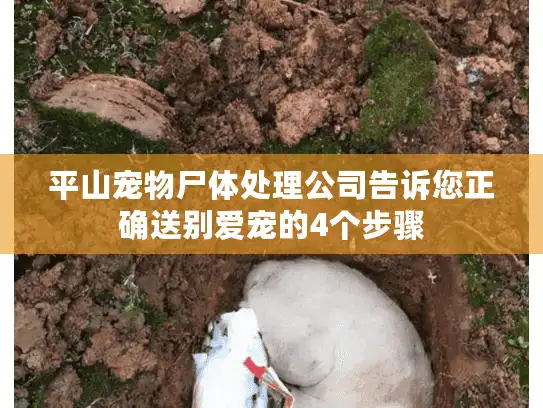 平山宠物尸体处理公司告诉您正确送别爱宠的4个步骤