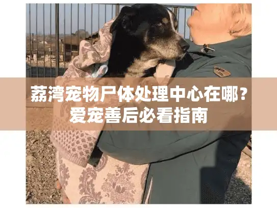 荔湾宠物尸体处理中心在哪？爱宠善后必看指南