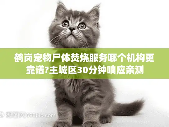 鹤岗宠物尸体焚烧服务哪个机构更靠谱?主城区30分钟响应亲测