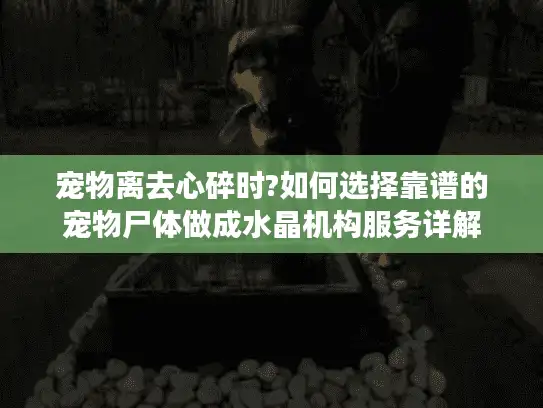 宠物离去心碎时?如何选择靠谱的宠物尸体做成水晶机构服务详解