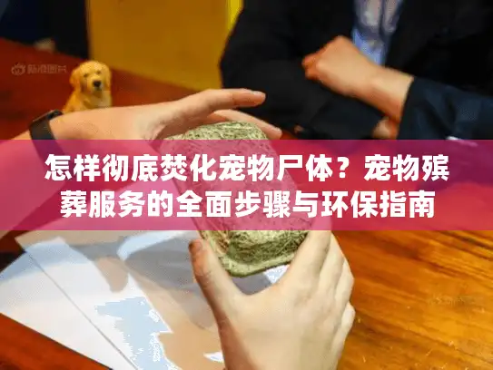 怎样彻底焚化宠物尸体？宠物殡葬服务的全面步骤与环保指南