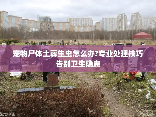 宠物尸体土葬生虫怎么办?专业处理技巧告别卫生隐患
