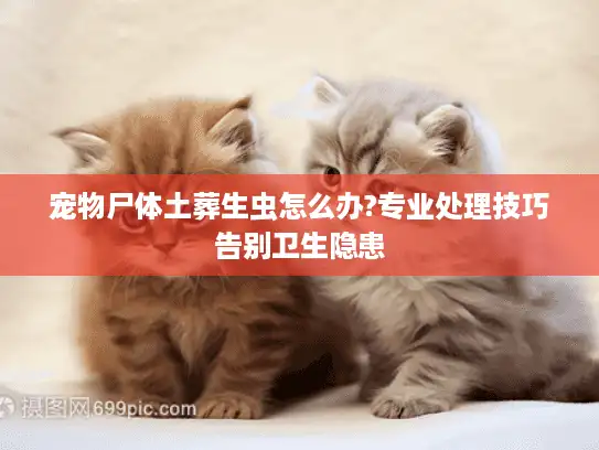 宠物尸体土葬生虫怎么办?专业处理技巧告别卫生隐患