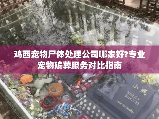 鸡西宠物尸体处理公司哪家好?专业宠物殡葬服务对比指南