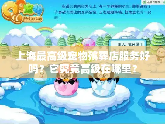 上海最高级宠物殡葬店服务好吗？它究竟高级在哪里？