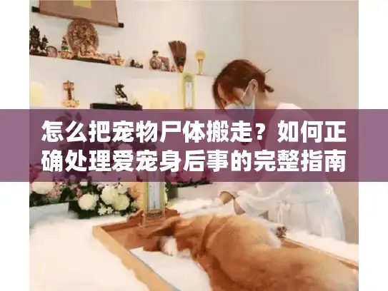 怎么把宠物尸体搬走？如何正确处理爱宠身后事的完整指南