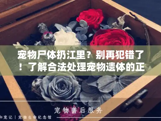宠物尸体扔江里？别再犯错了！了解合法处理宠物遗体的正确方式