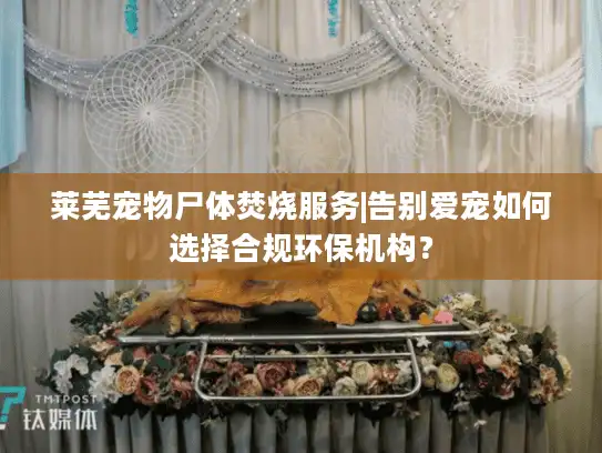 莱芜宠物尸体焚烧服务|告别爱宠如何选择合规环保机构？