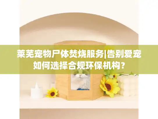 莱芜宠物尸体焚烧服务|告别爱宠如何选择合规环保机构？