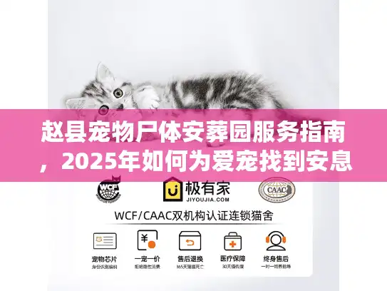 赵县宠物尸体安葬园服务指南，2025年如何为爱宠找到安息之所？