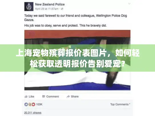 上海宠物殡葬报价表图片，如何轻松获取透明报价告别爱宠？