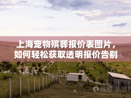 上海宠物殡葬报价表图片，如何轻松获取透明报价告别爱宠？