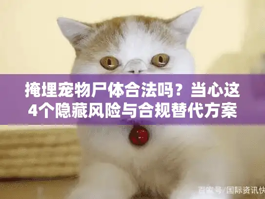 掩埋宠物尸体合法吗？当心这4个隐藏风险与合规替代方案