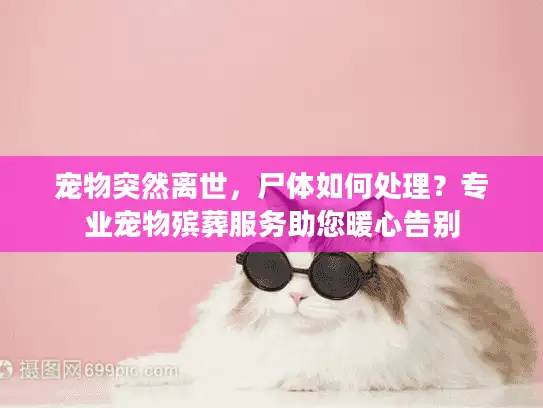 宠物突然离世，尸体如何处理？专业宠物殡葬服务助您暖心告别