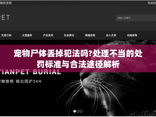 宠物尸体丢掉犯法吗?处理不当的处罚标准与合法途径解析