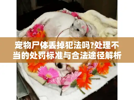 宠物尸体丢掉犯法吗?处理不当的处罚标准与合法途径解析